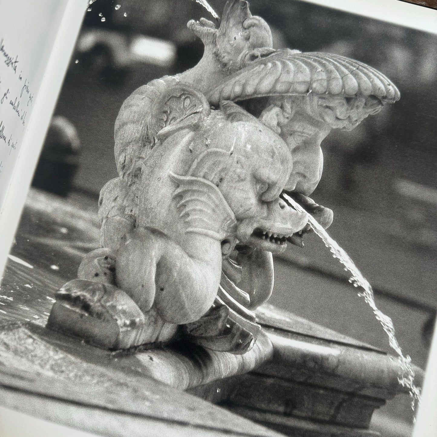 FENDI : Fontana the bms. gilded book