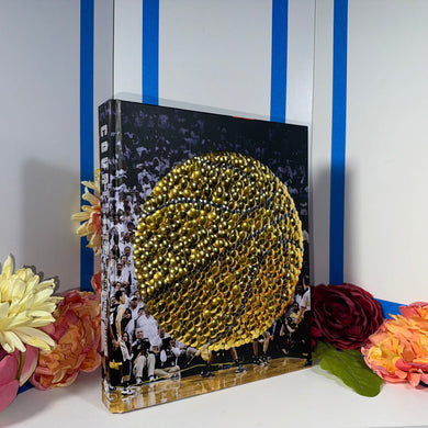 Courtside : 40 Years of NBA Photography - gold gilded by the bms.